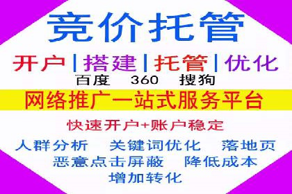 SEM广告投放策略案例分析